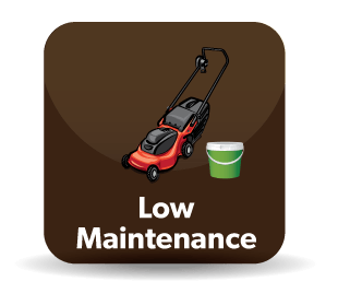 Low Maintenance