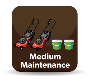 Medium Maintenance