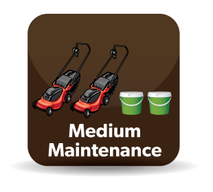 Medium Maintenance