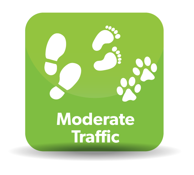 Moderate Traffic