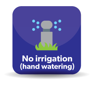 No Irrigation - Hand Watering