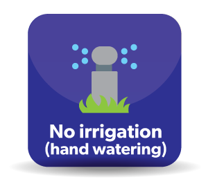 No Irrigation - Hand Watering
